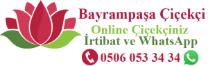 Bayrampaşa Çiçekçi