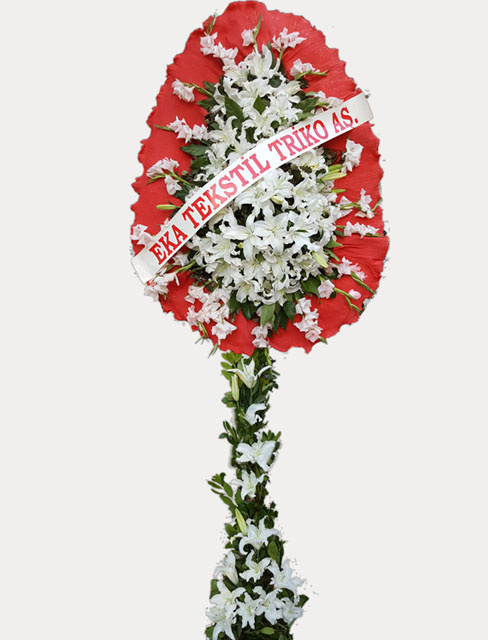 spt19-687